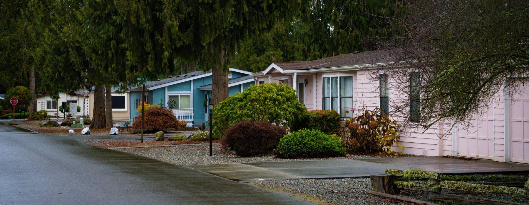 a street with trees and houses