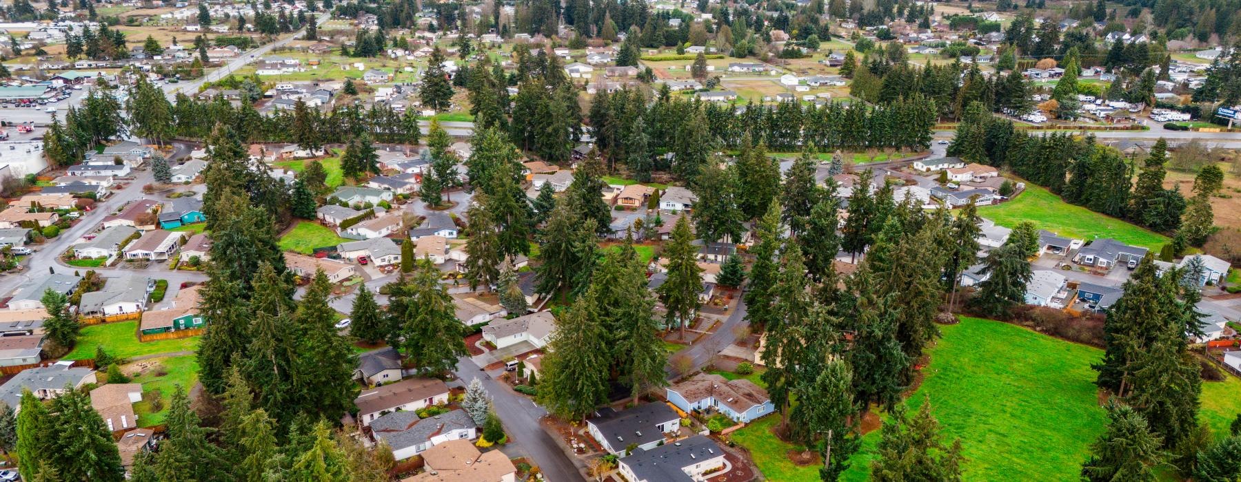 aerial view of a neighborhood