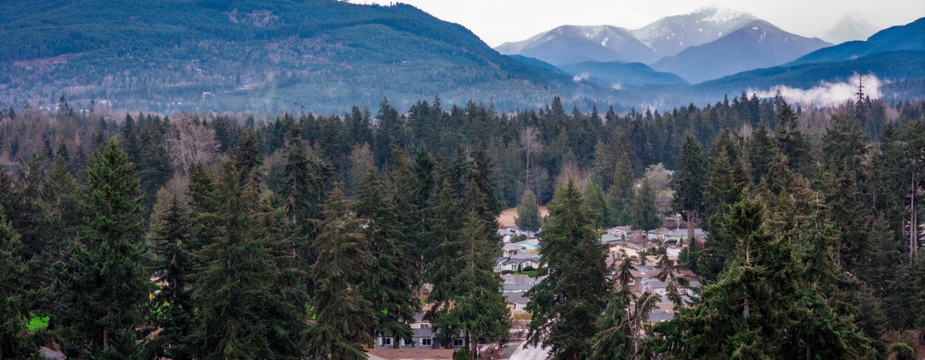 a landscape with trees and buildings