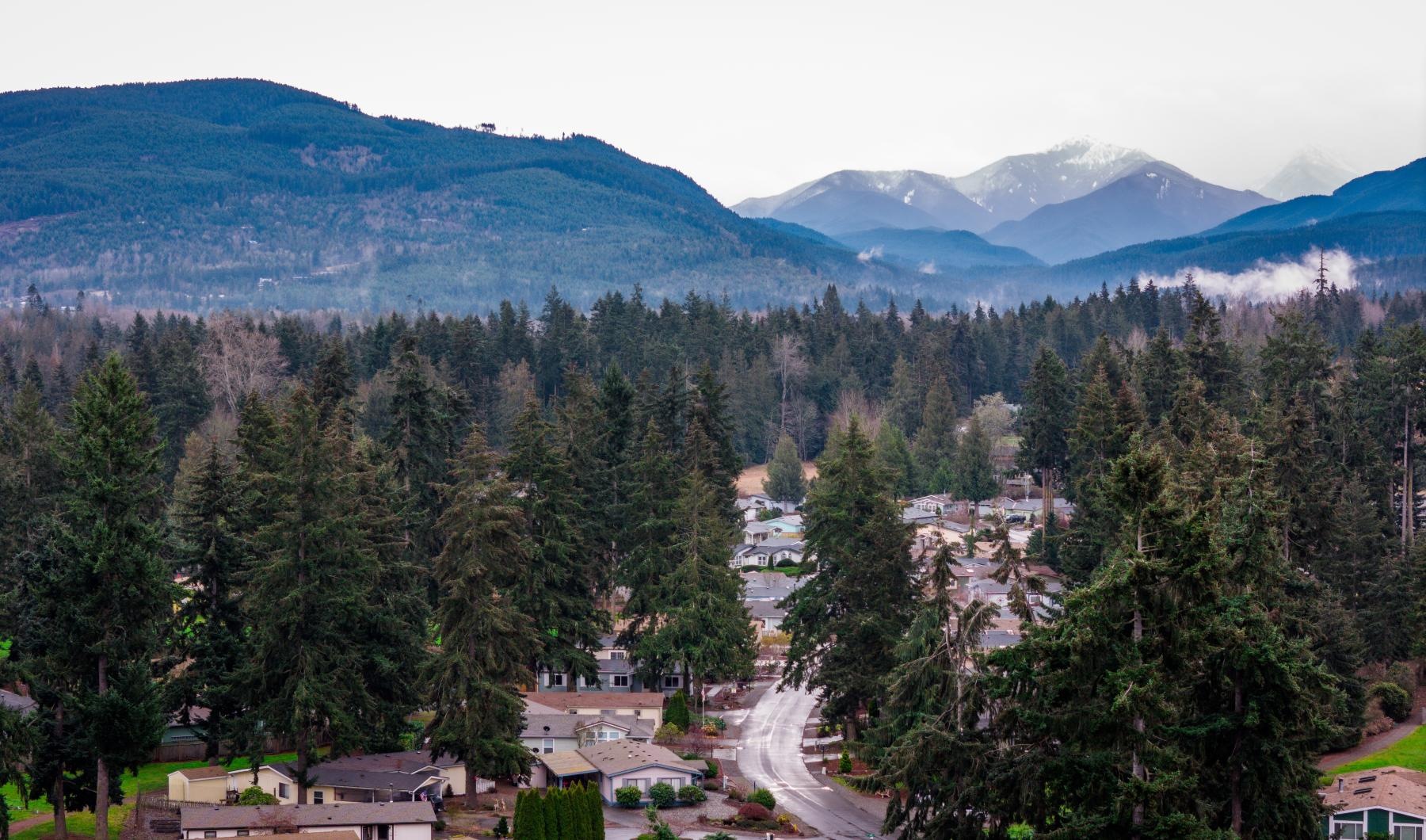 a landscape with trees and buildings